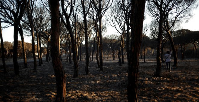 El Gobierno desoye el informe del CSIC que pide parar el gasoducto de Doñana