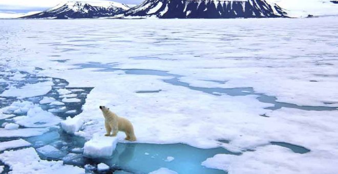 Un alegato contra los buitres del G7 que sobrevuelan el Ártico