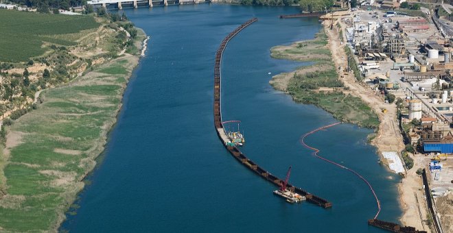 Per què els peixos de l'Ebre mengen i beuen mercuri?