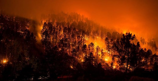 Grans incendis: pot Catalunya convertir-se en Galícia?