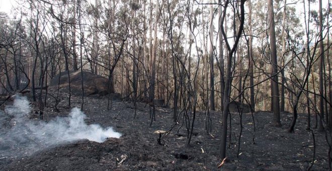 El fuego en Galicia remite tras quemar 11.500 hectáreas, más que en todo 2017