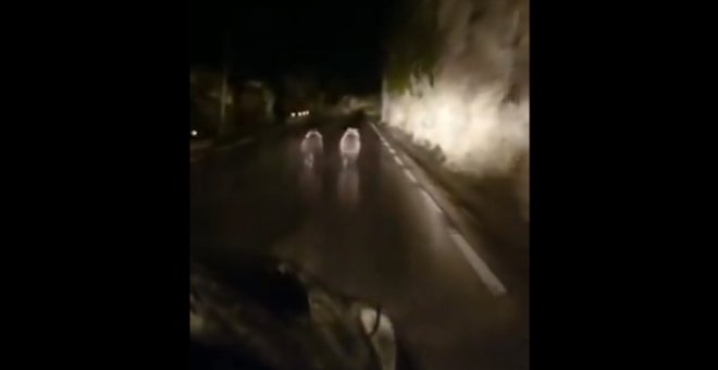 Persecución a dos osos pardos en una carretera de Cantabria