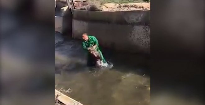 Identifican y denuncian al hombre que ahogó a una cría de jabalí en un canal de Lleida