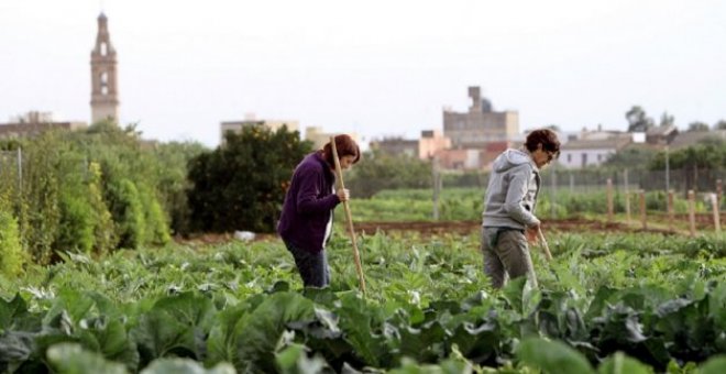 El negocio del campo se dispara mientras 7.000 agricultores dejan la tierra cada año