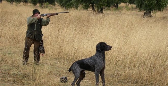 El Constitucional admite el recurso del Defensor del Pueblo contra la ley de caza de Castilla y León