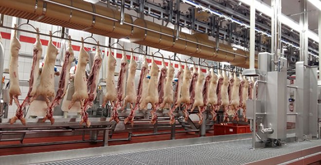 El principal proveedor de carne de cerdo de Mercadona no cuenta con el certificado de bienestar animal que dijo que tenía