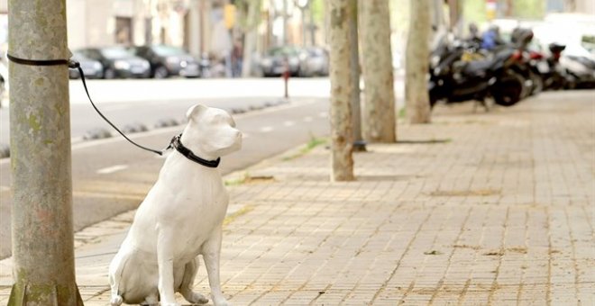 Barcelona fomenta la adopción de mascotas con estatuas de perros en la calle