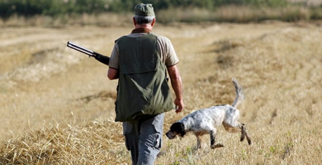 Miles de animalistas se manifiestan en 35 ciudades de España para pedir la prohibición de la caza