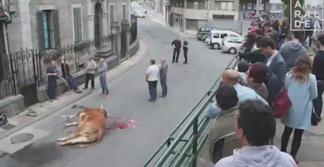 Un ertzaina mata de un disparo a un buey que se había escapado de un remolque en Álava