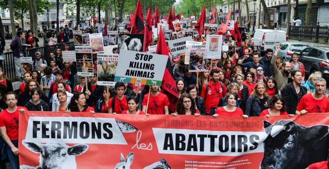 L214, la asociación animalista que denuncia el maltrato animal en los mataderos franceses