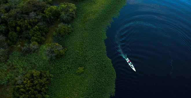 Encuentran evidencias de contaminación por plásticos en los peces del Amazonas