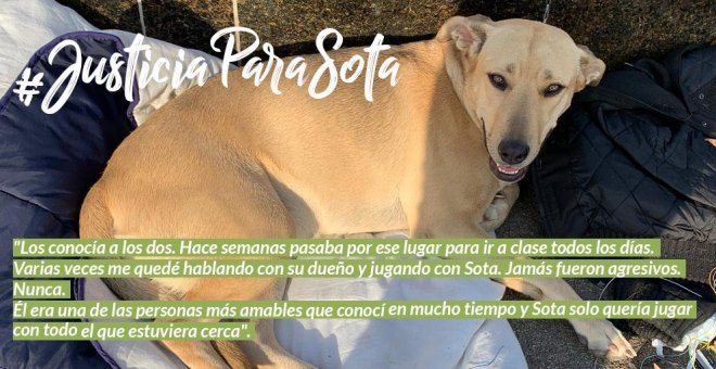 El perro muerto por disparos de un guardia urbano iba a entrar en un proyecto social