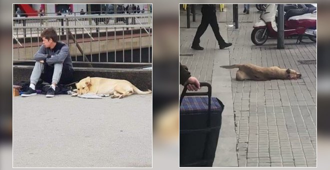 El Ayuntamiento de Barcelona defiende al agente que mató a Sota: "Era una perra peligrosa"