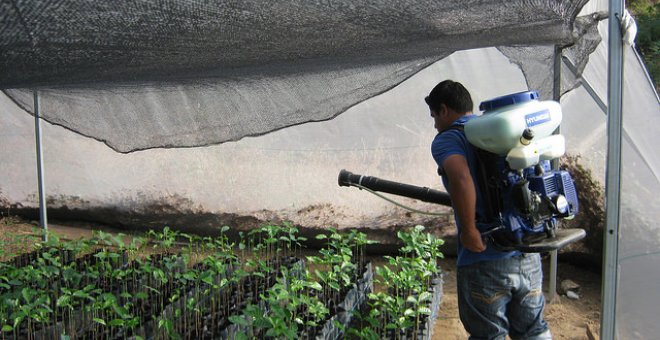 El Gobierno de Rajoy plagió un informe de una industria química para autorizar un pesticida