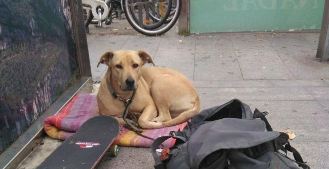 El juez imputa al guardia urbano que mató a la perra Sota de un disparo en Barcelona