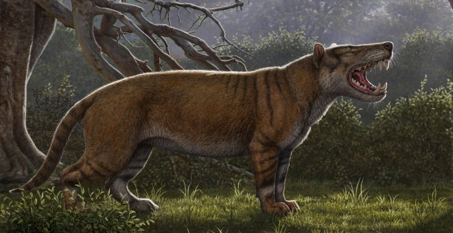 'Simbakubwa kutokaafrika', un depredador gigante cuyos restos se hallaron en un cajón