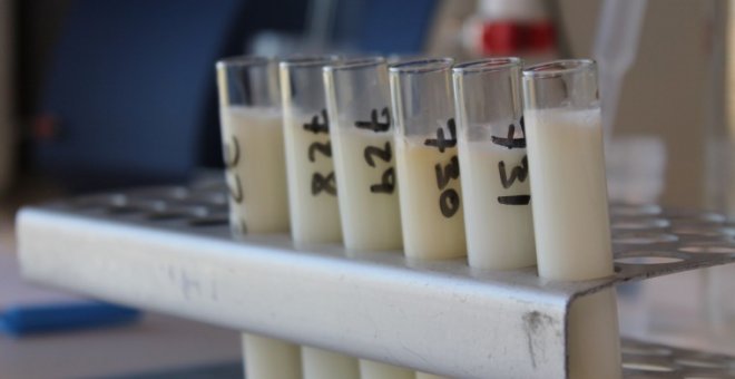 Una 'Fiesta de la leche' para celebrar que las donantes alimentaron a más de 600 bebés