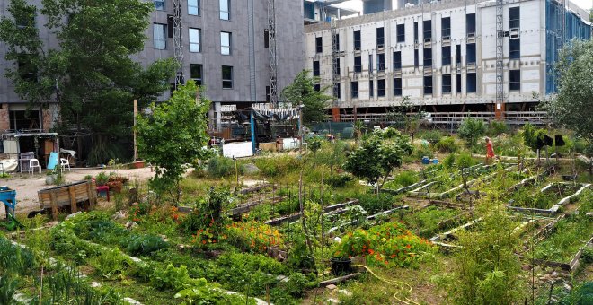 El huerto de Poblenou, espacio de resistencia en el que aún florece el espíritu del 15M