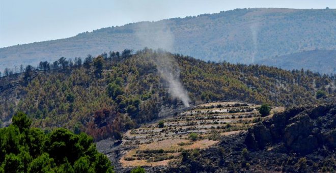 Estabilizado el incendio forestal de Terque, que ha calcinado más de mil hectáreas
