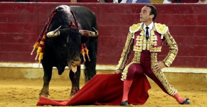 El torero Enrique Ponce: "Yo amo al toro, pero tengo que matarlo para que exista"