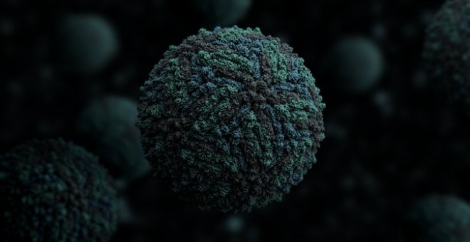 Hallan una proteína fundamental para combatir las infecciones víricas