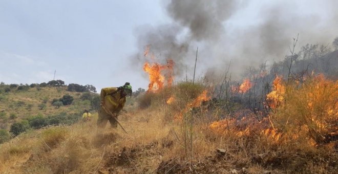 Los incendios arrasan 56.500 hectáreas hasta agosto, cuatro veces más que en todo 2018