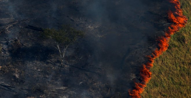Siete claves para entender qué se quema en la Amazonia y la magnitud del drama ambiental