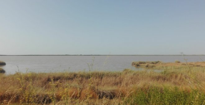 Un referéndum popular podría decidir un macroproyecto turístico frente a Doñana