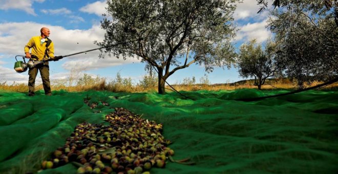 Los olivareros de Jaén cortan la A-4 para protestar por los bajos precios del aceite