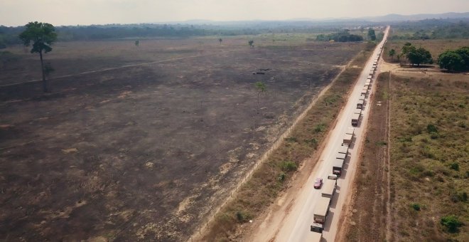 Una ONG graba más de mil de camiones con soja saliendo de la Amazonía quemada