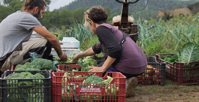 Más proximidad con el mundo agrario, la otra cara de la covid