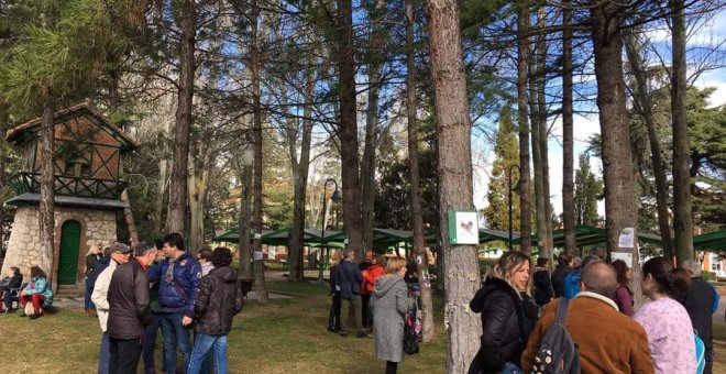 Decenas de personas se arman con una silla, un libro y una manta para frenar la tala de 73 árboles de Palencia