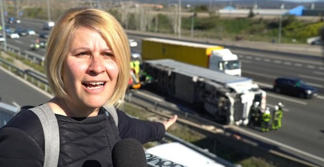 Igualdad Animal critica que no haya "asistencia" en el accidente de camión con cerdos