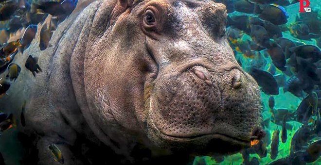 Fotos de premio en océanos, mares y lagos