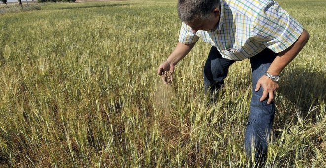 El TUE confirma que España debe devolver parte de las ayudas agrícolas a Andalucía entre 2009 y 2010