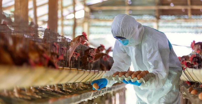 La pandemia de la covid-19 amenaza la seguridad alimentaria global