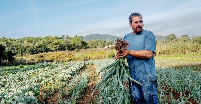 En transició cap a un consum d'aliments més local i ecològic?