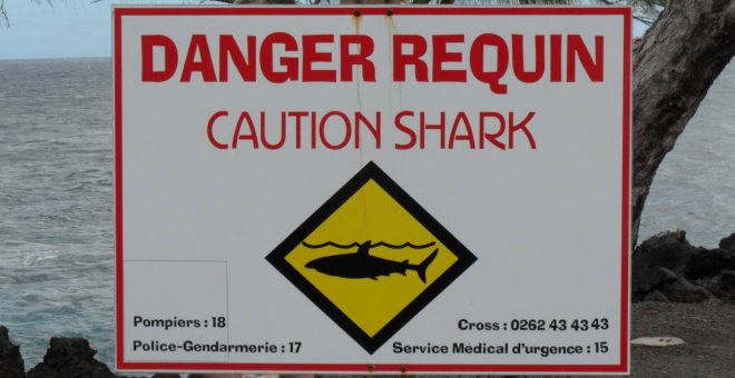 La isla francesa que cerró sus playas por los ataques de tiburones