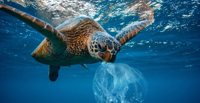 El oceáno Atlántico tiene más microplásticos que los que se creía