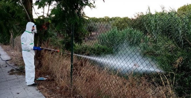 Una mujer de 85 años, segunda víctima mortal del virus del Nilo, que afecta a 38 personas