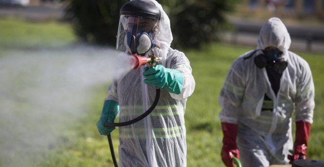 Una mujer de 87 años, primera víctima mortal del virus del Nilo en Cádiz