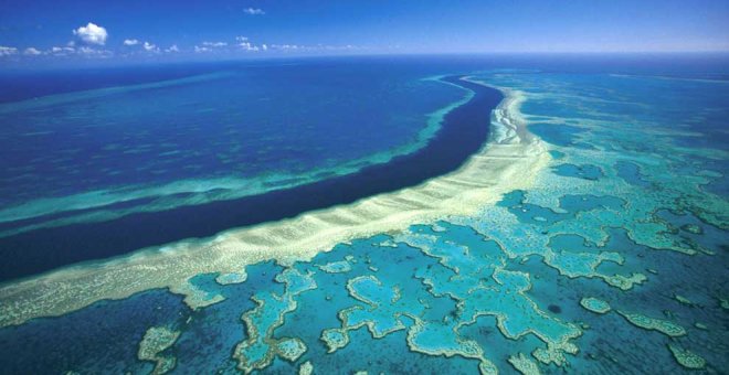 Descubierto un nuevo arrecife de coral en la Gran Barrera de Australia, el primero en 120 años