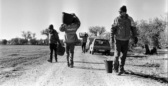 Así son las duras y frías jornadas de recogida de la oliva en Ciudad Real