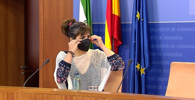 La reforma del reglamento de la Cámara que impulsan los partidos en Andalucía tiene aspectos contrarios a la Constitución