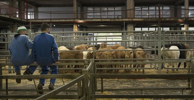 La vida que no esperó: así pasó el mayor mercado de ganado del norte de motor económico y mover millones a la crisis