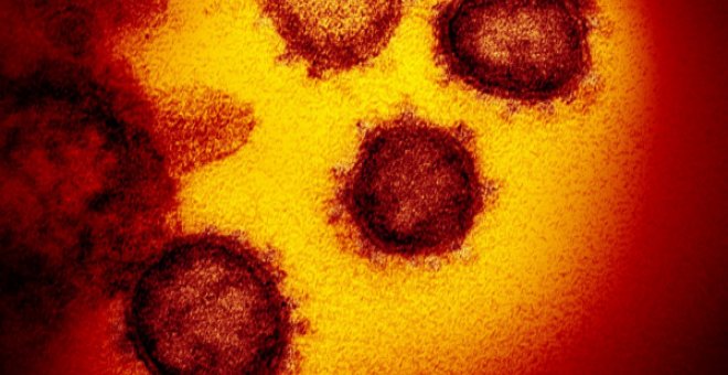 El coronavirus no tiene ideología