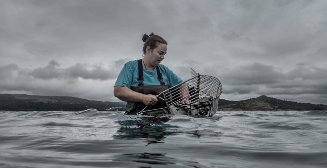 Mariscadoras gallegas denuncian machismo y acoso en la Cofradía pontevedresa de Carril