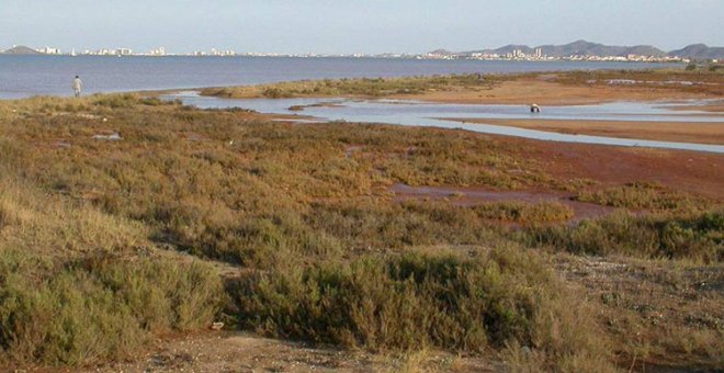 ¿Un nuevo ave fénix?: la Agencia Regional del Clima y el Medio Ambiente de la Región de Murcia