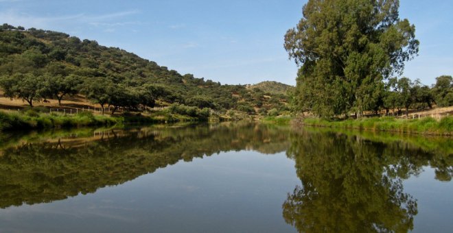 Nueve detenidos por corrupción en la gestión de aguas públicas en Sevilla