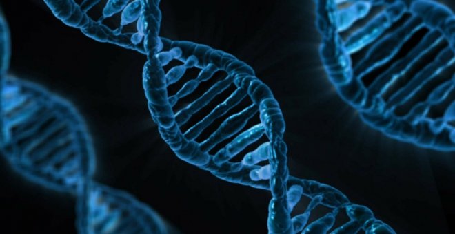 La OMS emite las primeras recomendaciones para manipular el ADN
